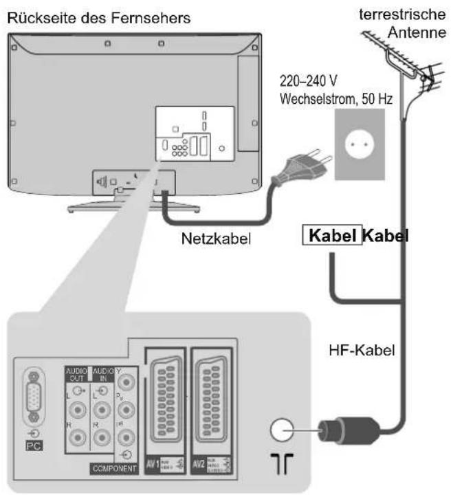 PANASONIC TX-L32X15 - Grundlegende Anschlüsse - 1