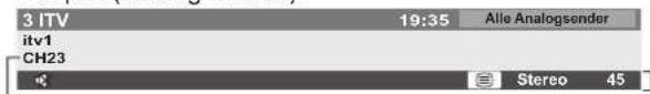 PANASONIC TX-L37G10 - Anzeigen des Informationsbanners - 3
