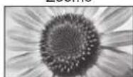 PANASONIC TX-L37G10 - weis - 1