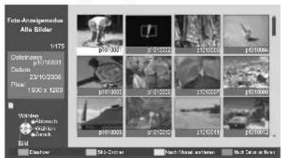 PANASONIC TX-L26C10 - Azeigen aller Fotos - 3