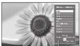 PANASONIC TX-L19X10E - Manuelles Umschalten des Bildseitenverhältnisses - 2