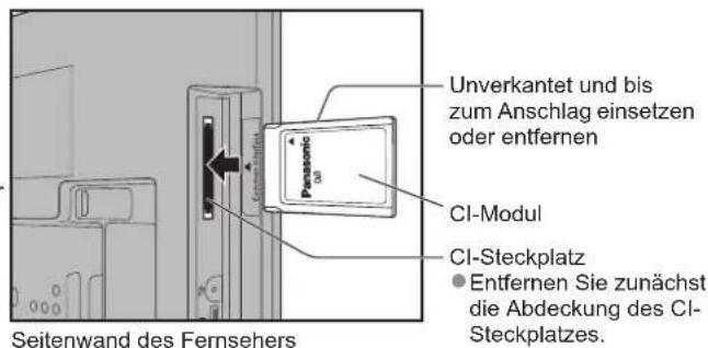 PANASONIC TX-L19X10E - Vorsicht - 1