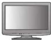 PANASONIC TX-L19X10E - Übersicht über die Q-Link- und VIERA Link-Funktionen - 4