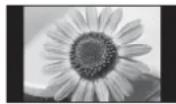 PANASONIC TH-D42PN83 - Typische Standbilder - 1