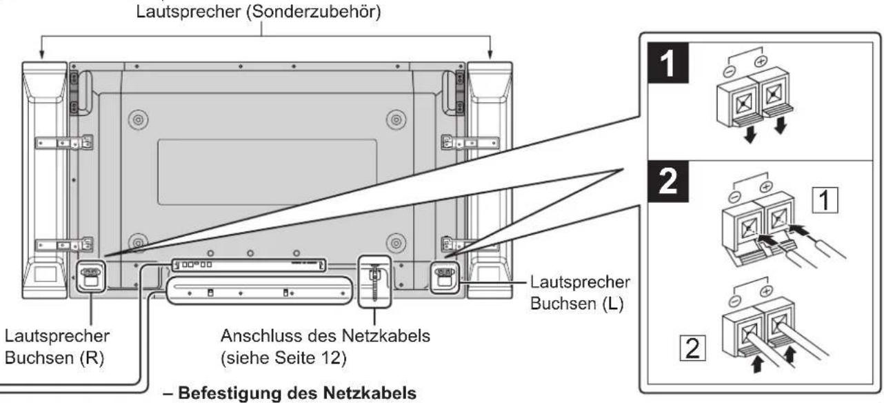 PANASONIC TH-42PWD8 - Anschlüsse - 1