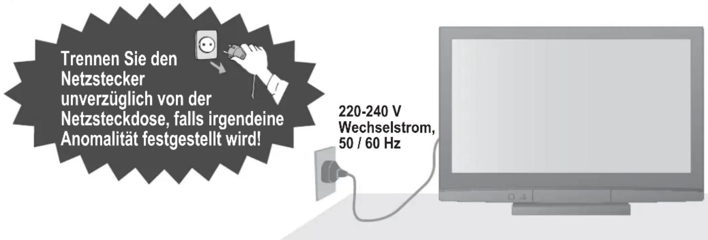 PANASONIC TH-42PV80 - Handhabung von Netzstecker und Netzkabel - 1