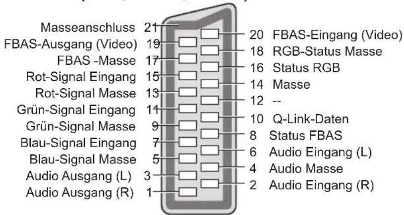 PANASONIC TX-P50XT50 - AV1 SCART-Anschluss (RGB, VIDEO, Q-Link) - 1