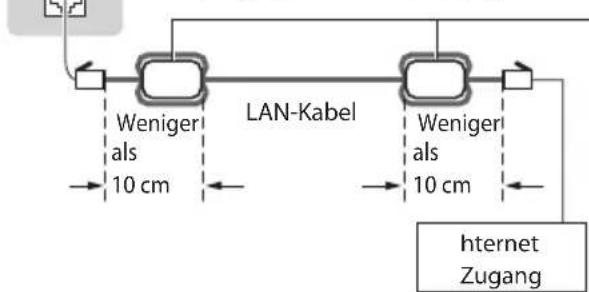 PANASONIC TX-P46ST33J - ■ Anschluss an die Netzwerkumgebung (Netzwerkanschlüsse) - 2