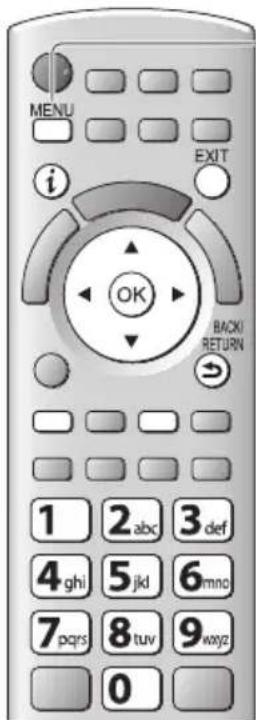 PANASONIC TX-P46ST33J - Netzwerk-Setup - 1