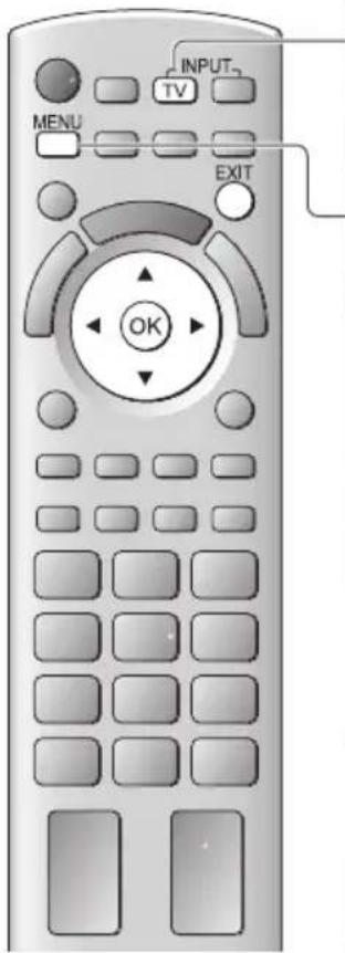 PANASONIC TX-P46ST33J - DVB-T-Programme oder analoge Programme - 1