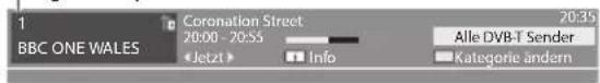 PANASONIC TX-P46ST30E - Bearbeiten von Programmen - 3