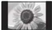 PANASONIC TX-P46ST30E - TypischeStandbilder - 1