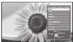 PANASONIC TX-P46S20E - Manuelles Umschalten des Bildseitenverhältnisses - 2