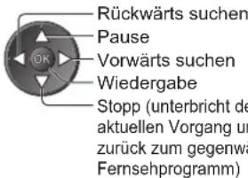 PANASONIC TX-P46S20E - Bedienung von „Permanente Aufzeichnung“ - 3