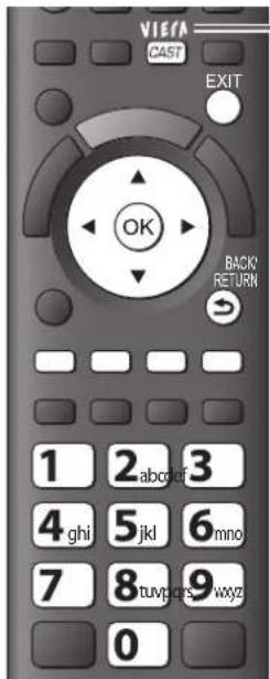 PANASONIC TX-P46S20E - VIERA CAST™ - 1