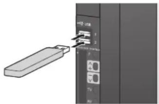PANASONIC TX-P46S20E - ■Zum Einführen oder Entnehmen der SD-Karte / USB-Flash-Speicher - 1