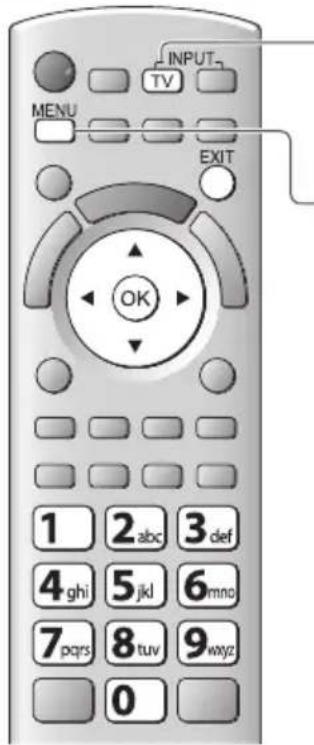 PANASONIC TX-P46GT30Y - Start Auto Setup (Die Einstellungen werden automatisch vorgenommen) - 5