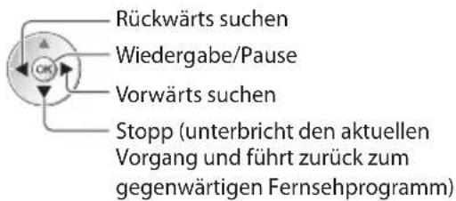 PANASONIC TX-P46GT30Y - Bedienung von „Permanente Aufzeichnung“ - 4