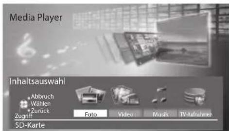 PANASONIC TX-P42VT30E - Wählen Sie den Inhalt aus - 1