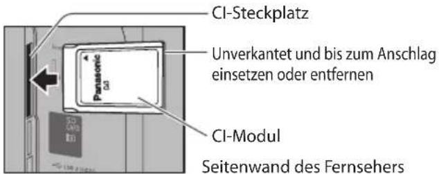 PANASONIC TX-P42VT30E - (Vorsicht) - 1
