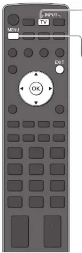 PANASONIC TX-P42VT30E - DVB-T-Programme oder analoge Programme - 1