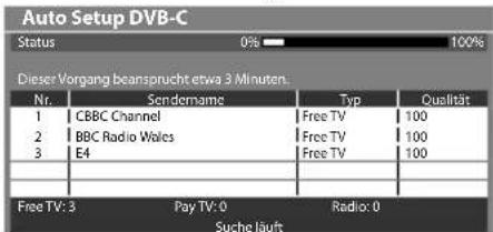 PANASONIC TX-P42VT30E - Start Auto Setup (Die Einstellungen werden automatisch vorgenommen) - 3