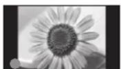 PANASONIC TX-P42U20E - Typische Standbilder - 1