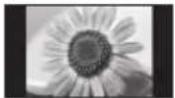 PANASONIC TX-P42ST33JS - Typische Standbilder - 1