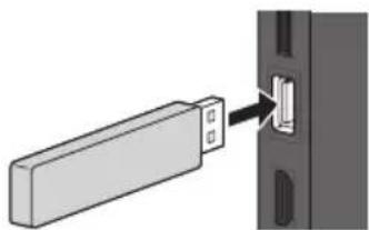 PANASONIC TX-P42ST33JS - Zum Einführen oder Entnehmen der SD-Karte / des USB-Flash-Speichers - 1