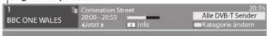 PANASONIC TX-P42ST33JS - ■ Bearbeiten von Programmen - 3