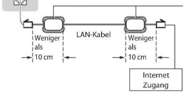 PANASONIC TX-P42UT30E - ■ Anschluss an die Netzwerkumgebung (Netzwerkanschlüsse) - 2
