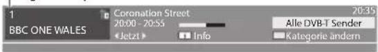 PANASONIC TX-P42ST30E - ■ Bearbeiten von Programmen - 3