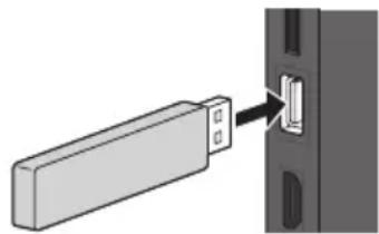 PANASONIC TX-P42ST30E - Zum Einführen oder Entnehmen der SD-Karte / des USB-Flash-Speichers - 1