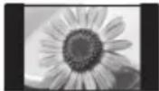 PANASONIC TX-P42ST30E - TypischeStandbilder - 1