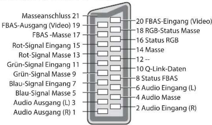 PANASONIC TX-P42S30 - Informationen über die SCART- und HDMI-Buchsen - 1