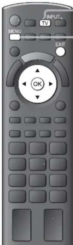 PANASONIC TX-P42S30 - DVB-T-Programme oder analoge Programme - 1