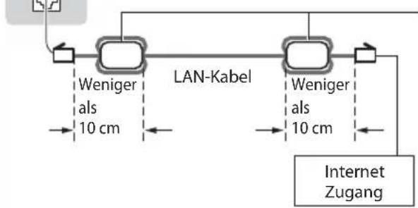 PANASONIC TX-P42S30 - ■ Anschluss an die Netzwerkumgebung (Netzwerkanschlüsse) - 2