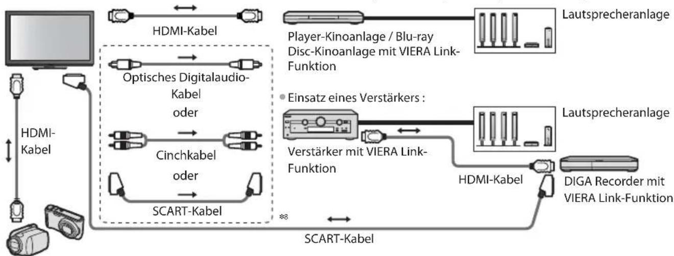 PANASONIC TX-P42S30 - Übersicht über die Q-Link- und VIERA Link-Funktionen - 8