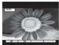 PANASONIC TX-20LA70 - Auto - 1