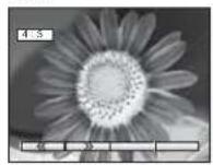 PANASONIC TX-20LA70 - 4:3 - 1
