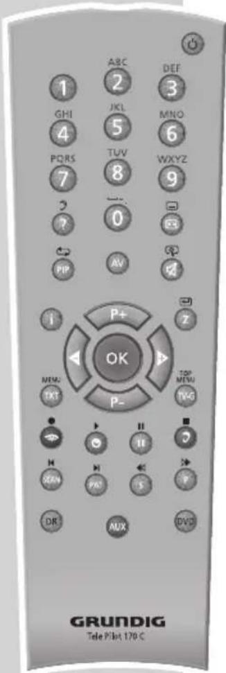 GRUNDIG Lenaro 19 LXW 49-7741 DVB-T - Ton aus- und einschalten - 1