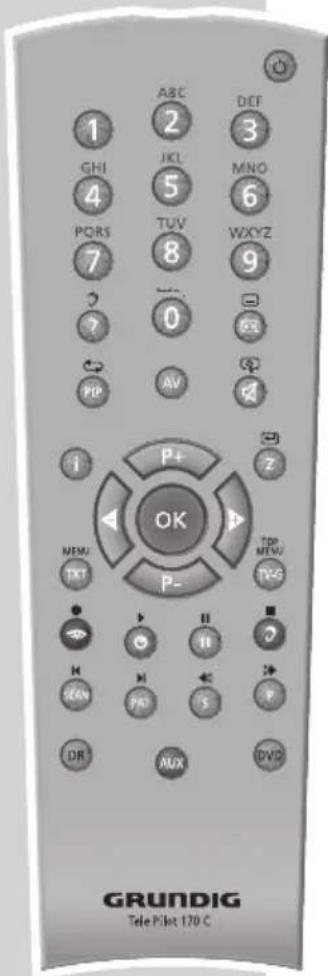 GRUNDIG Lenaro 19 LXW 49-7741 DVB-T - AUF EINEN BLICK - 1