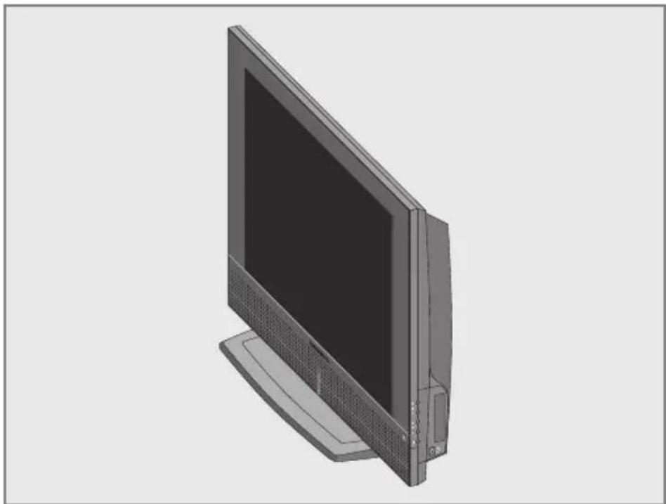 GRUNDIG Davio 20 LCD 51 5732 DVB T - Die Bedienelemente und die Anschlüsse des Fernsehgerätes - 1