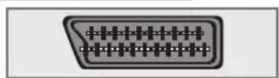 GRUNDIG Davio 20 LCD 51 5732 DVB T - ... über die EURO-AV-Buchse - 1
