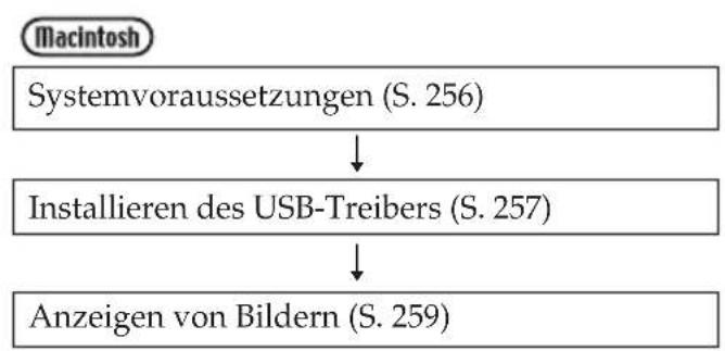 SONY DCR-TRV345 - Befolgen Sie die Anweisungen in der unten dargestellten Reihenfolge - 2