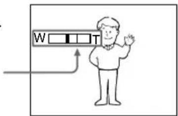 W T