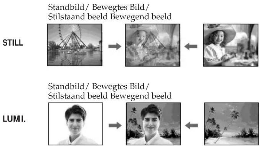 STILL Standbild/ Bewegtes Bild/ Stilstaand beeld Bewegend beeld LUMI. Standbild/ Bewegtes Bild/ Stilstaand beeld Bewegend beeld
