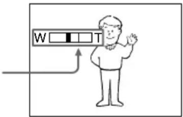 W T