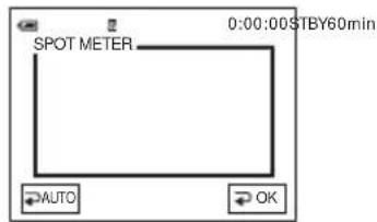 SONY DCR-HC16 - De belichting vastleggen voor het geselecteerde onderwerp - Flexibele spotmeter - 1