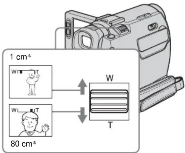 1 cm* W T WL 80 cm*